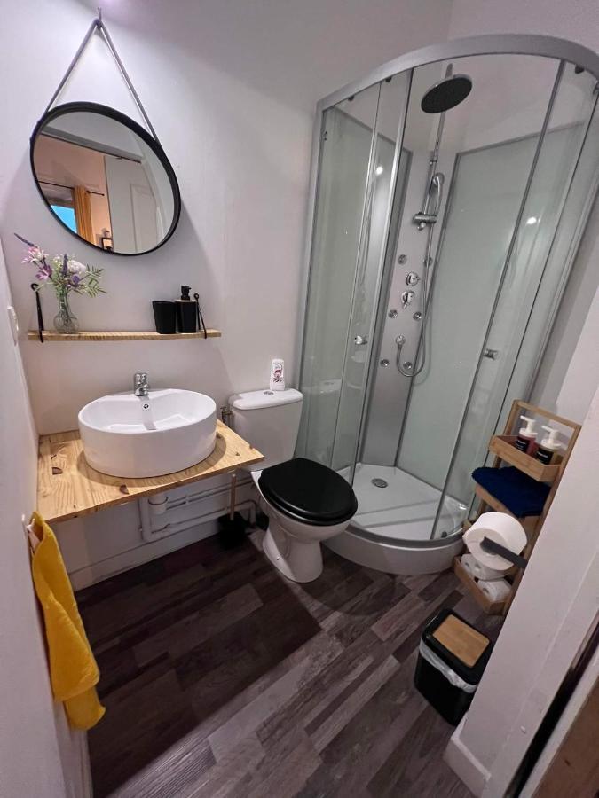 Charmant Appartement Climatise Aux Pieds De La Cite Каркассонн Екстер'єр фото