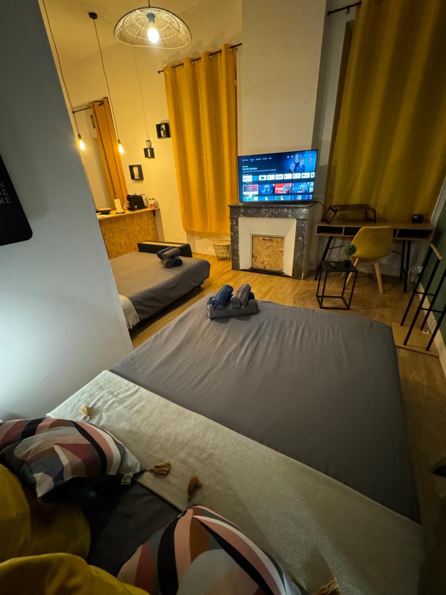 Charmant Appartement Climatise Aux Pieds De La Cite Каркассонн Екстер'єр фото