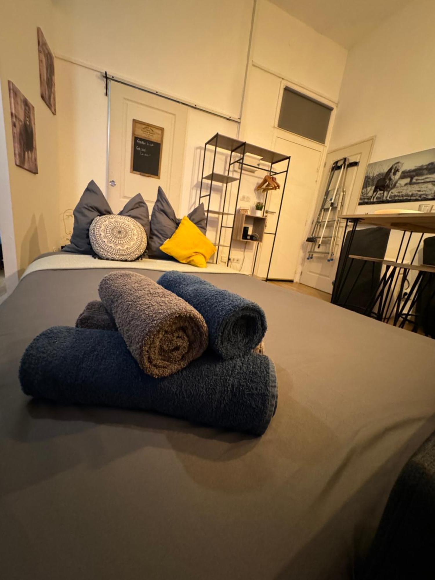 Charmant Appartement Climatise Aux Pieds De La Cite Каркассонн Екстер'єр фото