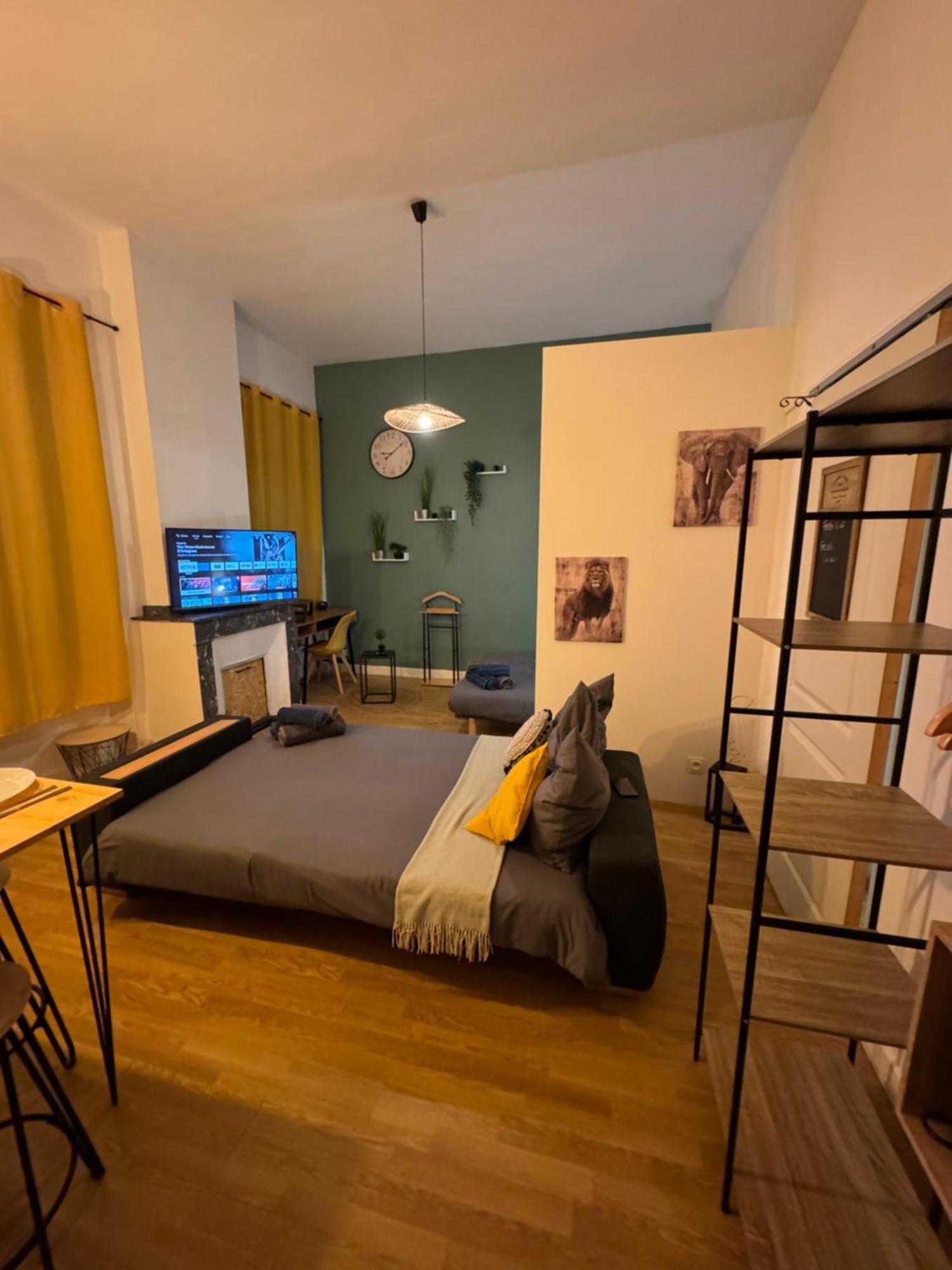 Charmant Appartement Climatise Aux Pieds De La Cite Каркассонн Екстер'єр фото