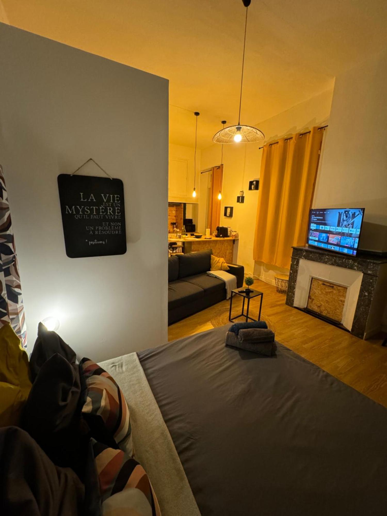 Charmant Appartement Climatise Aux Pieds De La Cite Каркассонн Екстер'єр фото