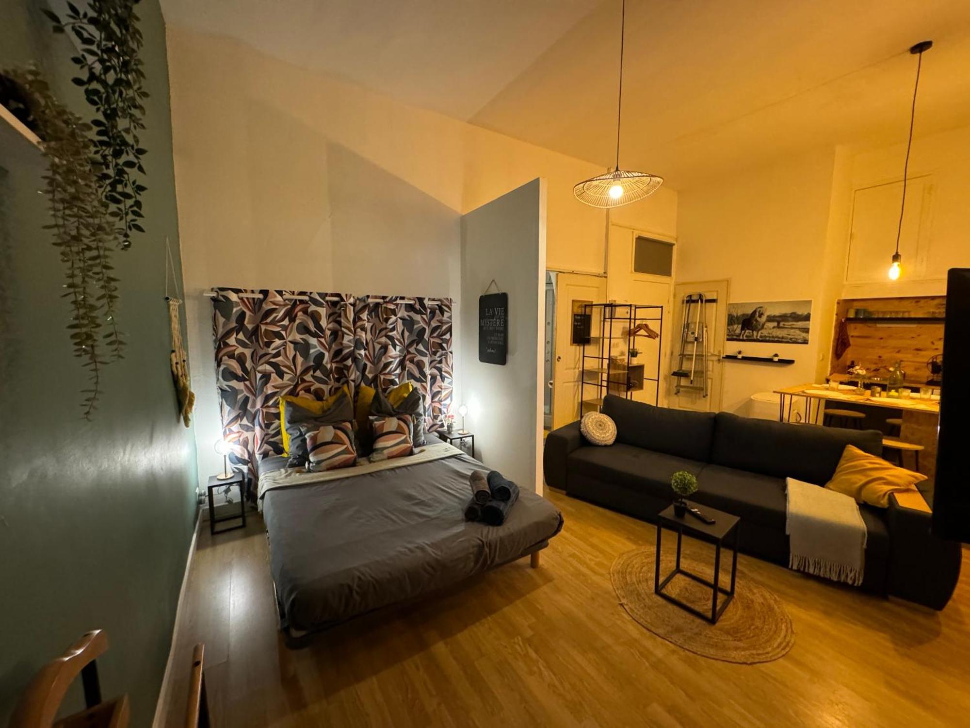 Charmant Appartement Climatise Aux Pieds De La Cite Каркассонн Екстер'єр фото